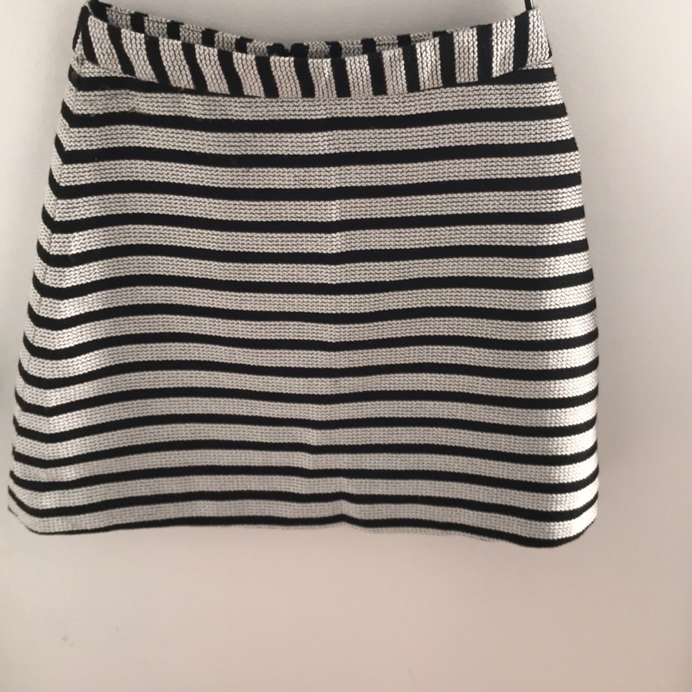 Express Mini Skirt